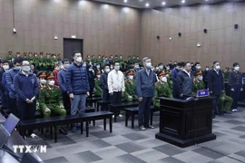 The Hanoi People’s Court runs first instance trial against Nguyen Thi Thanh Nhan former chairwoman and general director of AIC company, and 35 defendants in a case that occurred at Dong Nai General Hospital - Illustrative image (Photo: VNA)