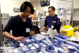 Vietnamese nurses working in Japan (Photo: VNA)