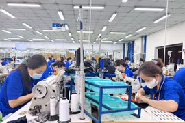 Workers at Tri-Viet International Co., Ltd., a 100% Japanese-owned company located at Tra Noc II Industrial Park, Can Tho city (Photo: qdnd.vn).