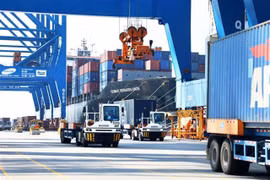 Containers at Cai Mep-Thi Vai Port in Ba Ria-Vung Tau province. AMRO staff forecast Vietnam’s economic growth may reach 6.3% for 2024 (Photo: VNA)