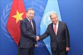 Party General Secretary and President To Lam (L) meets UN Secretary-General António Guterres (Photo: VNA)