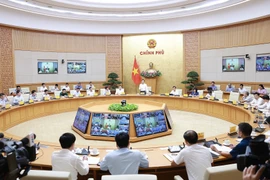 An overview of the national teleconference (Photo: VNA)