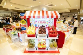 The ASEAN-Korea Centre's pop-up store ASEAN Flavour Townset up at the Lotte Department Store in Seoul. (Photo: ASEAN-Korea Centre)