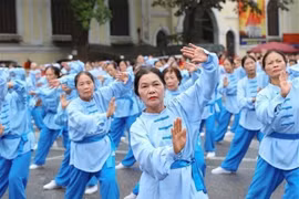 The elderly take part in physical exercise in Hanoi (Photo: VNA)