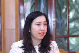 Deputy Foreign Minister Le Thi Thu Hang (Photo: VNA)