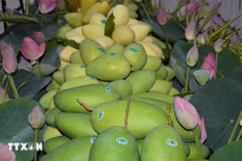 Vietnamese mango (Photo: VNA)