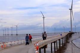 A Bac Lieu offshore wind farm (Photo: VNA)