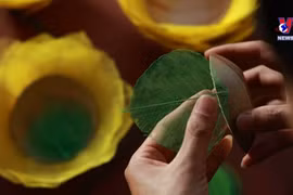 Young man gives new life to fallen leaves