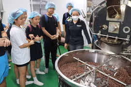 Authentic Vietnamese chocolate from Southwest region