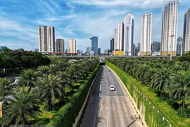 Great efforts made to recover socio-economic development