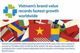 Vietnam becomes fastest growing national brand in the world