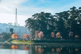 Da Lat receives ASEAN Clean Tourist City award