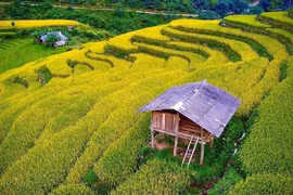 Cao Bang: Stunning beauty of under-the-radar tourist sites