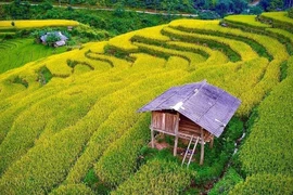 Cao Bang: Stunning beauty of under-the-radar tourist sites