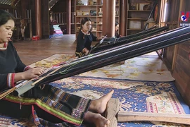 Ede ethnic women preserving traditional weaving