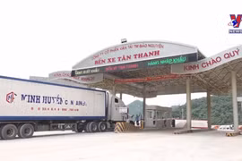 Lang Son speeding up customs clearance for fresh fruit