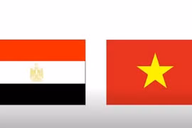 Vietnam, Egypt celebrate 60 years of diplomatic ties