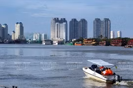 Sensational Saigon River tour attracting tourists