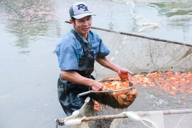 Carp village prepares for Kitchen Gods' Day