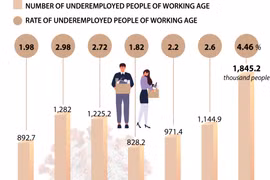 COVID-19 severely affects labour market