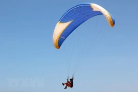 Binh Thuan looks to become paragliding hub