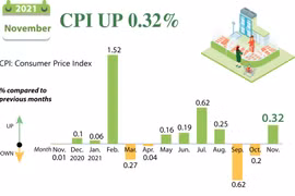 November CPI up 0.32 percent 