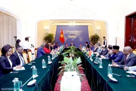 At the meeting between Deputy Minister of Foreign Affairs Do Hung Viet and ambassadors and chargé d'affaires from embassies in Hanoi and non-resident ambassadors from African countries. (Photo: baoquocte.vn)