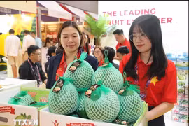 Vietnamese green-skinned pomelos are on display at the Asia Fruit Logistica in Hong Kong (China)
