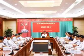 At the meeting (Photo: VNA)