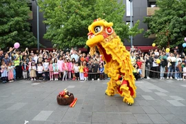Lion dance is the most awaited part of the Mid-Autumn Festival (Photo: VNA)