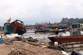 Boats and aquaculture cages in Quang Yen township were damaged after Typhoon Yagi swept over the northern coastal province of Quang Ninh. (Photo: VNA)