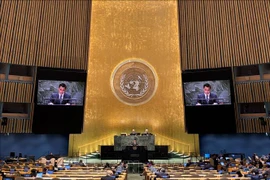 At the UN General Assembly’s emergency special session on September 17-18. (Photo: VNA)