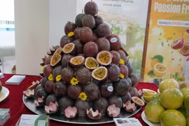 Passion fruits have become the fifth kind of Vietnamese fruits to be officially exported to Australia (Photo: VNA)