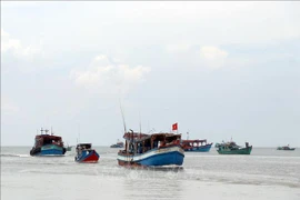 Ca Mau's fishing vessels (Photo: VNA)