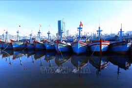 The south-central coastal province of Binh Dinh will provide one-time financial support for the installation of vessel monitoring systems for boats measuring between 12 and 15 metres. (Photo: VNA)