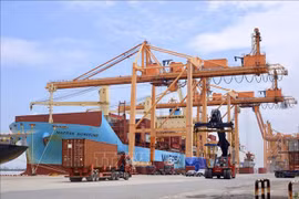 Production resumes after Typhoon Yagi at Hai Phong Port's Tan Vu branch. (Photo: VNA) 