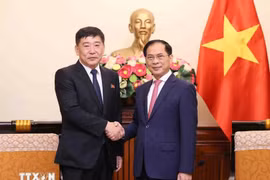 Deputy Prime Minister and Minister of Foreign Affairs Bui Thanh (Right) and Vice Minister for Foreign Affairs of the Democratic People’s Republic of Korea (DPRK) Pak Sang Gil at their meeting in Hanoi on September 9. (Photo: VNA)