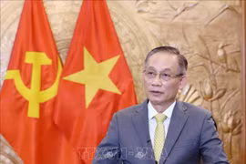 Secretary of the Communist Party of Vietnam (CPV) Central Committee and head of its Commission for External Relations Le Hoai Trung (Photo: VNA)