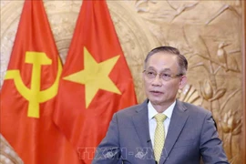 Secretary of the Communist Party of Vietnam (CPV) Central Committee and head of its Commission for External Relations Le Hoai Trung (Photo: VNA)