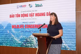 USAID Deputy Mission Director Debra Mosel. (Photo: Courtesy of USAID)