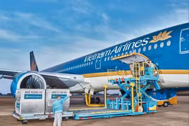 Vietnam Airlines offers free transport for relief goods to storm-affected localities. (Photo: VNA)