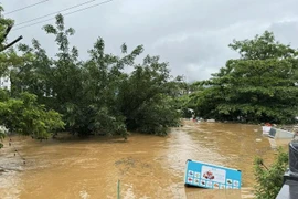 Prolonged heavy rains lead to a rise in the water level of the Lo River in Ha Giang province, causing flooding for houses along the river and posing a risk of drowning. (Photo: VNA)