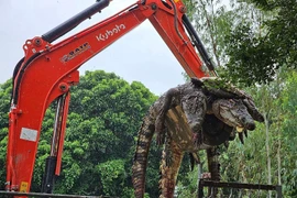 Thai farm culls 125 crocodiles as flood waters rise