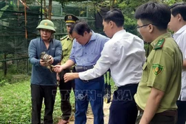 15 rare wild animals are released into the Phong Nha-Ke Bang National Park on September 25 (Photo: VNA)