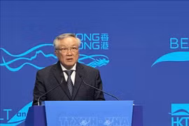 Permanent Deputy PM Nguyen Hoa Binh speaks at the meeting (Photo: VNA)