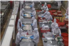 HSBC Bank: Vietnam continues to witness growth in exports 