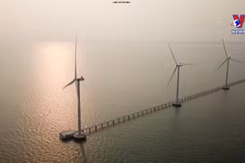 Energy transition to help Vietnam realise net-zero emissions goal