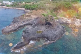 Phu Yen tapping tourism potential