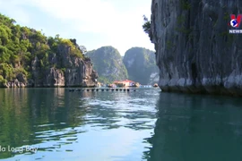 Over 1.5 million foreign tourists visit Vietnam in January
