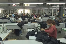 Positive indicators emerge in garment-textile sector exports